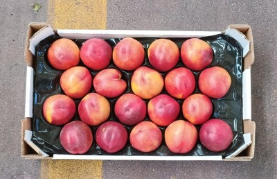 Foto Nettarine Varietà Gea Calibro 20 Origine Italia Marchio Sant'Andrea  3