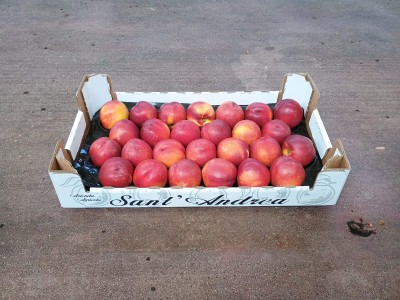 Foto Nettarine Varietà Early Bomba Calibro 26 Origine Italia Marchio Sant'Andrea  1