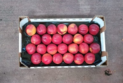 Foto Nettarine Varietà Early Bomba Calibro 26 Origine Italia Marchio Sant'Andrea  3
