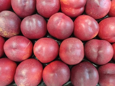Foto Nettarine Varietà Bing Bang Calibro 26 Origine Italia Marchio Sant'Andrea 2