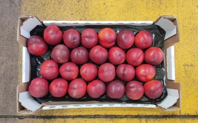Foto Nettarine Varietà Bing Bang Calibro 26 Origine Italia Marchio Sant'Andrea 3