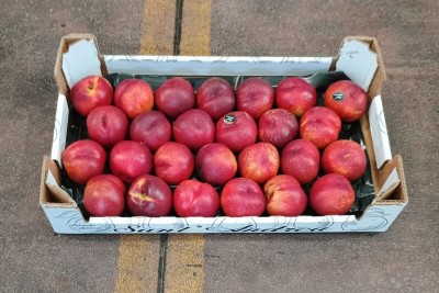Foto Nettarine Varietà Early bomba Calibro 26 Origine Italia Marchio Sant'Andrea 1