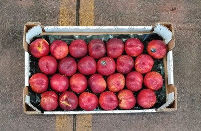 Foto Nettarine Varietà Early bomba Calibro 26 Origine Italia Marchio Sant'Andrea 3