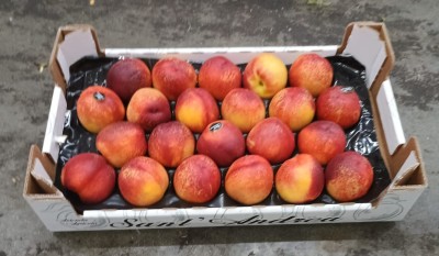 Foto Nettarine Varietà Early Bomba Calibro 22 Origine Italia Marchio Sant'Andrea  1