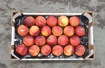 Foto Nettarine Varietà Early Bomba Calibro 22 Origine Italia Marchio Sant'Andrea  3