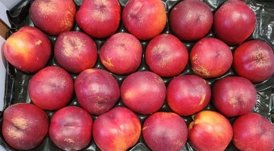 Foto Nettarine Varietà Bing Bang Calibro 22Origine Italia Marchio Sant'Andrea 2