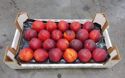 Foto Nettarine Varietà Honey Blaze Calibro 22 Origine Italia Marchio  Sant'Andrea            1