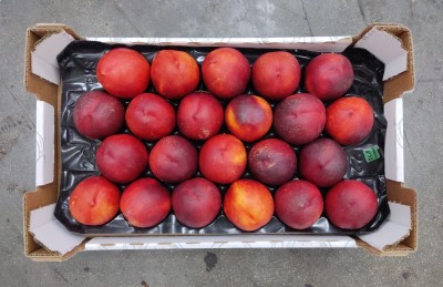 Foto Nettarine Varietà Honey Blaze Calibro 22 Origine Italia Marchio  Sant'Andrea            3