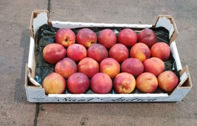 Foto Nettarine Varietà Gea Calibro 22 Origine Italia Marchio Sant'Andrea  1