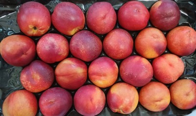 Foto Nettarine Varietà Gea Calibro 22 Origine Italia Marchio Sant'Andrea  2