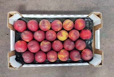 Foto Nettarine Varietà Early Bomba Calibro 24 Origine Italia Marchio Sant'Andrea            3