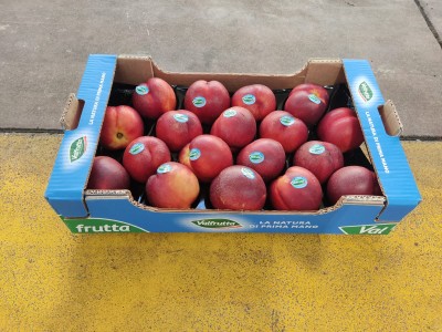 Foto Nettarine Varietà Bing Top Calibro 18 Origine Italia Marchio Valfrutta 1