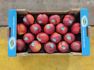 Foto Nettarine Varietà Bing Top Calibro 18 Origine Italia Marchio Valfrutta 3