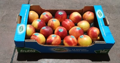 Foto Nettarine Varietà Pasta Gialla Calibro AAA  Origine Italia Marchio Valfrutta  1