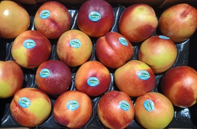 Foto Nettarine Varietà Pasta Gialla Calibro AAA  Origine Italia Marchio Valfrutta  2