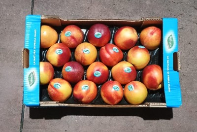 Foto Nettarine Varietà Pasta Gialla Calibro AAA  Origine Italia Marchio Valfrutta  3