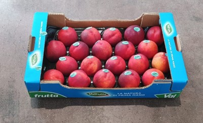 Foto Nettarine Varietà Big Top Calibro 20 Origine Italia Marchio Valfrutta        1