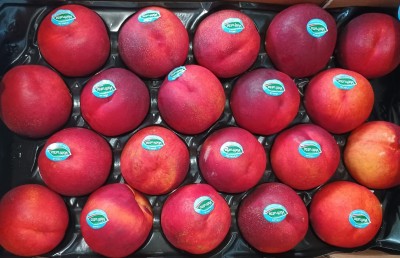 Foto Nettarine Varietà Big Top Calibro 20 Origine Italia Marchio Valfrutta        2