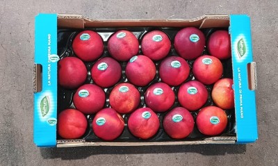 Foto Nettarine Varietà Big Top Calibro 20 Origine Italia Marchio Valfrutta        3