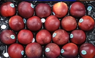 Foto Nettarine A Pasta Gialla Calibro 20 Origine Italia Marchio Valfrutta  2