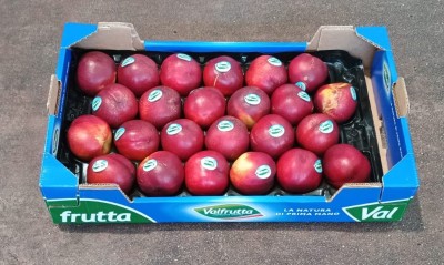 Foto Nettarine A Pasta Gialla Calibro 24 Origine Italia Marchio Valfrutta  1