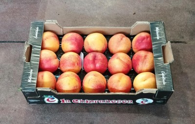 Foto Nettarine A Pasta Gialla Calibro 15 Origine Spagna Marchio Chipranesca  1