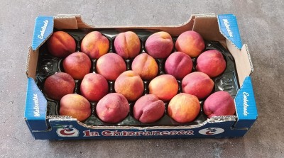 Foto Nettarine Varietà Venus Calibro A20 Origine Spagna Marchio Chipranesca 1