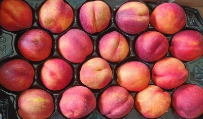 Foto Nettarine Varietà Venus Calibro A20 Origine Spagna Marchio Chipranesca 2
