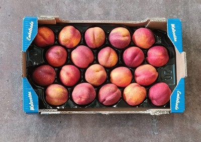 Foto Nettarine Varietà Venus Calibro A20 Origine Spagna Marchio Chipranesca 3