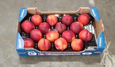 Foto Nettarine Varietà  Venus Calibro A16  Origine Spagna Marchio Chipranesca 1