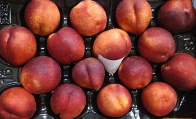 Foto Nettarine Varietà  Venus Calibro A16  Origine Spagna Marchio Chipranesca 2