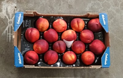 Foto Nettarine Varietà  Venus Calibro A16  Origine Spagna Marchio Chipranesca 3