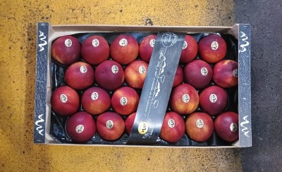 Foto Nettarine Varietà Pasta Gialla A24 Origine Spagna Marchio Raimondo  3