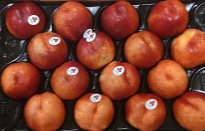 Foto Nettarine Varietà Kinolea Calibro A16 Origine Spagna Marchio El Panal          2