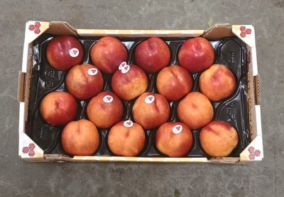 Foto Nettarine Varietà Kinolea Calibro A16 Origine Spagna Marchio El Panal          3