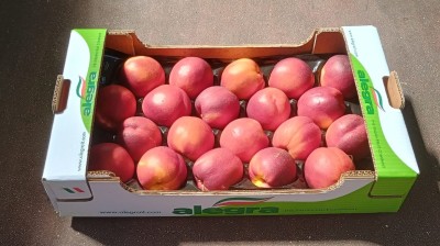 Foto Nettarine Varietà big Top Calibro 20 Origine Italia Marchio Alegra 1