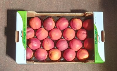 Foto Nettarine Varietà big Top Calibro 20 Origine Italia Marchio Alegra 3