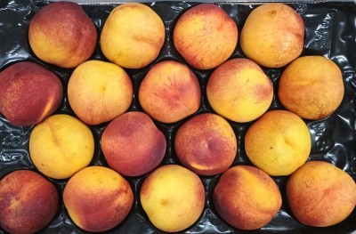 Foto Nettarine Varietà Kinolea Calibro 18 Origine Italia Marchio Verde Piu  2