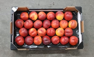 Foto Nettarine Varietà Early Bomba Calibro 26 Origine Italia Marchio Verde Piu       3