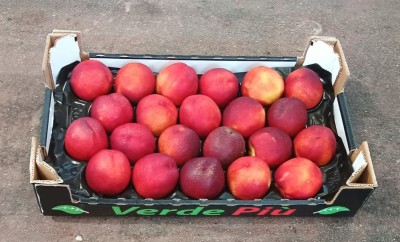 Foto Nettarine Varietà Honey Blaze Calibro 22 Origine Italia Marchio Verde Piu  1