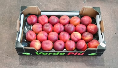 Foto Nettarine Varietà Big Bang Calibro 24 Origine Italia Marchio Verde Piu 1