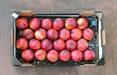 Foto Nettarine Varietà Big Bang Calibro 24 Origine Italia Marchio Verde Piu 3