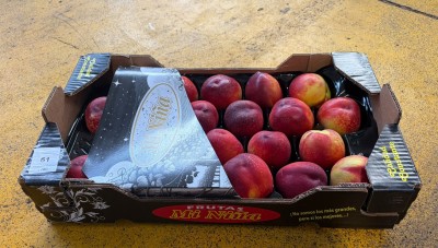 Foto Nettarine a Pasta Gialla  Calibro 22 Origine Spagna Marchio Niña 1