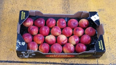Foto Nettarine Varietà Garcima Calibro 24 Origine Spagna Marchio Nina  1