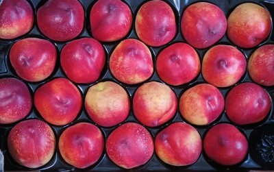 Foto Nettarine Varietà Garcima Calibro 24 Origine Spagna Marchio Nina  2