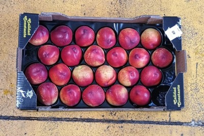 Foto Nettarine Varietà Garcima Calibro 24 Origine Spagna Marchio Nina  3