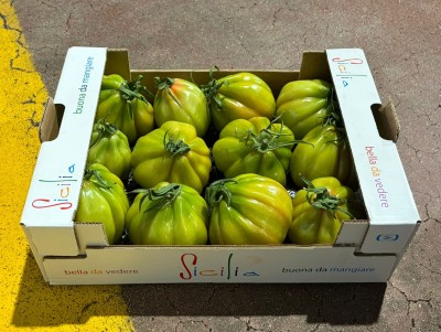 Foto Pomodoro Cuore di Bue Origine Italia Marchio Sicilia 1