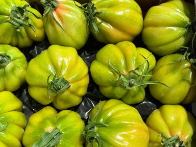 Foto Pomodoro Cuore di Bue Origine Italia Marchio Sicilia 2