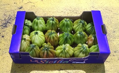 Foto Pomodoro Cuore di Bue Origine Italia Marchio Sicilia 1