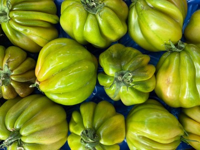 Foto Pomodoro Cuore di Bue  Origine Italia Marchio Vittoria Verde 2